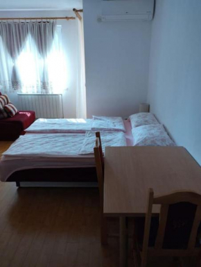 Apartment in Banja Koviljaca